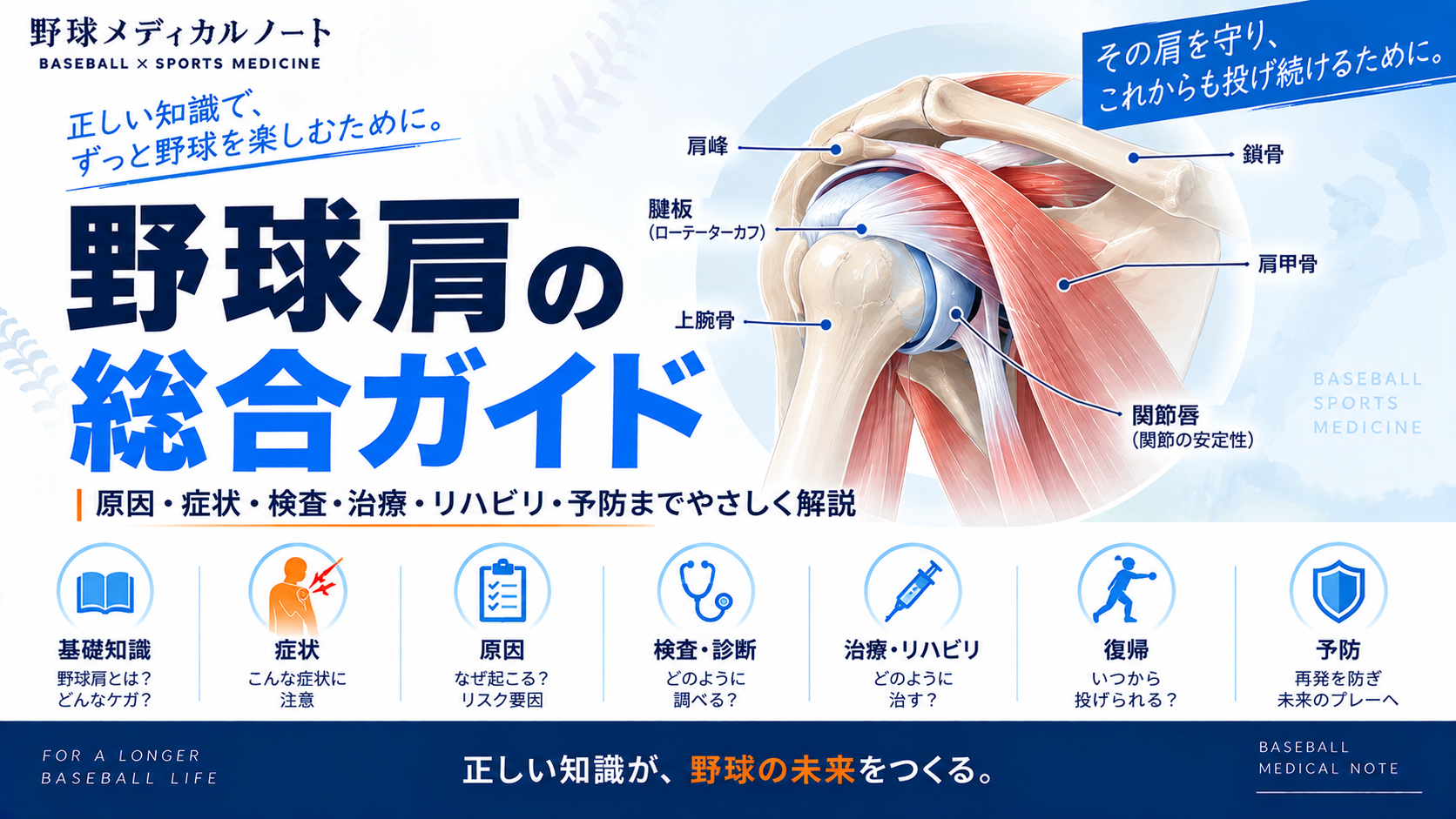 野球肩の総合ガイドとして、肩関節の筋骨格と症状・原因・検査・治療・リハビリ・復帰・予防を整理したインフォグラフィック