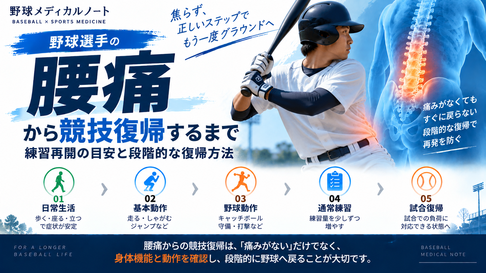 腰部を強調した野球選手と、日常生活から試合復帰までの段階的な競技復帰を示すインフォグラフィック