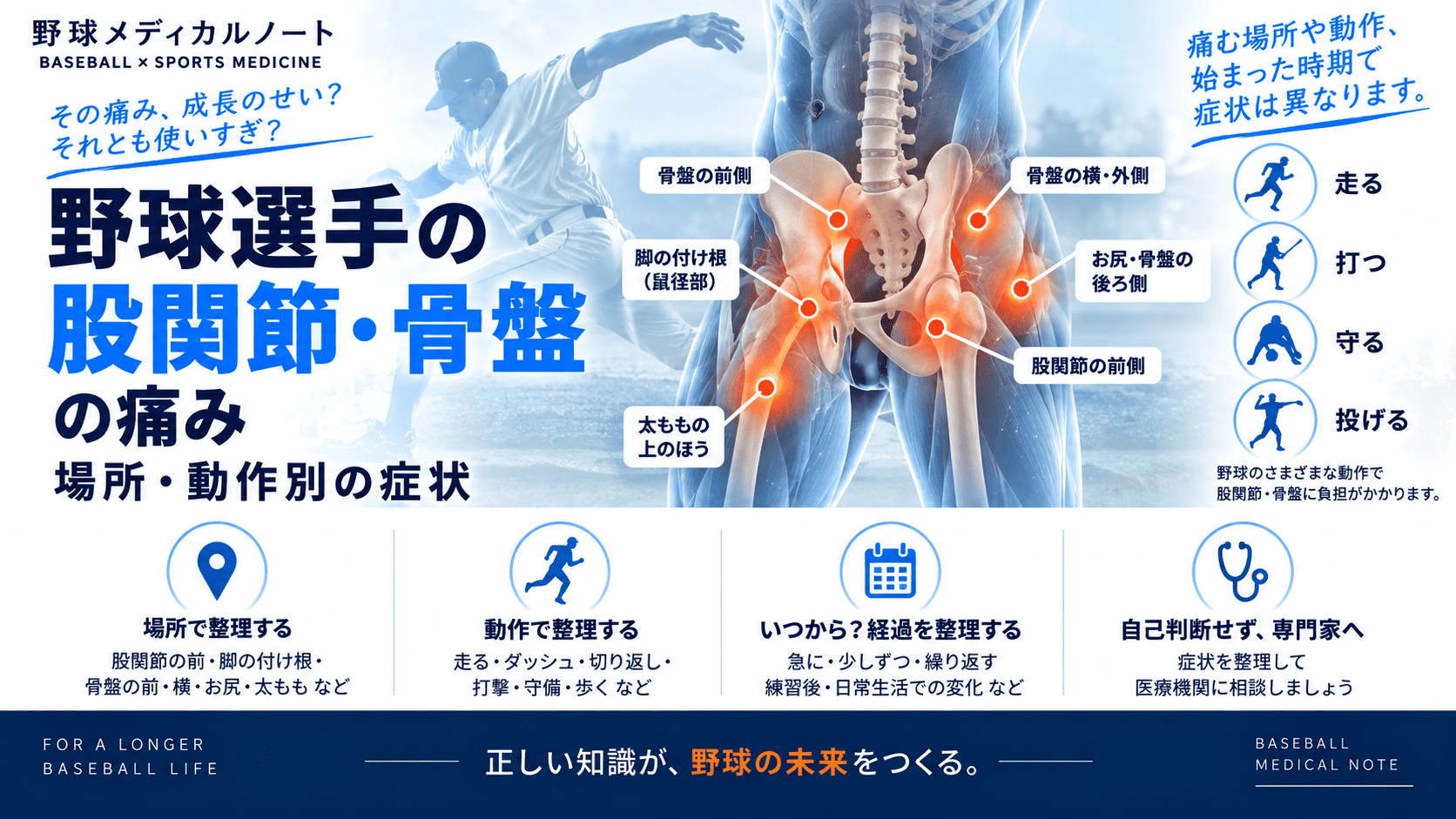 野球選手の股関節・骨盤の痛みについて、痛む場所や走る・打つ・守る・投げるなどの動作別に症状を整理したインフォグラフィック